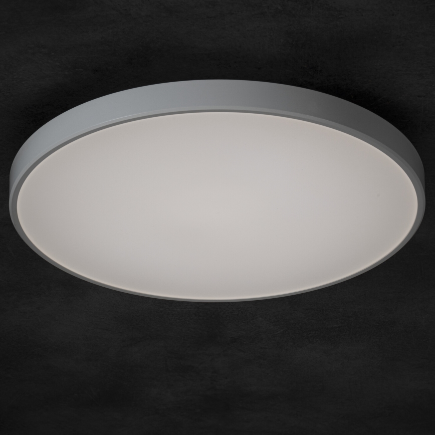 Plafoniera LED dimmerabile PLAFON LED/20W/230V 3000-6500K Wi-Fi bianco