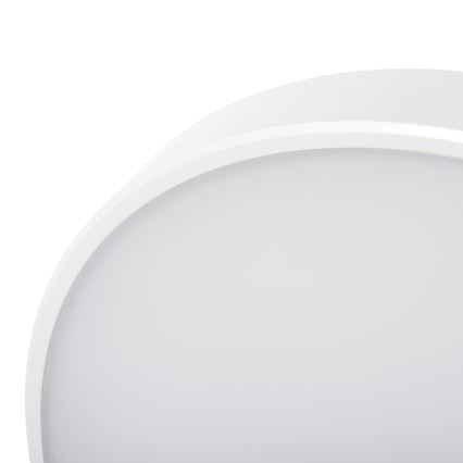 Plafoniera LED dimmerabile PLAFON LED/20W/230V 3000-6500K Wi-Fi bianco