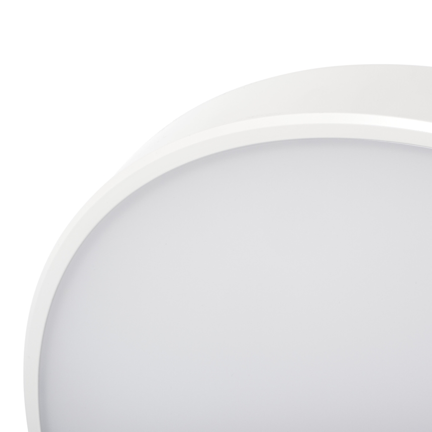 Plafoniera LED dimmerabile PLAFON LED/20W/230V 3000-6500K Wi-Fi bianco