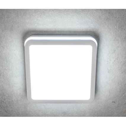 Plafoniera LED da esterno BENO LED/12/18W/230V 3000/3500/4000K IP65 bianco quadrato