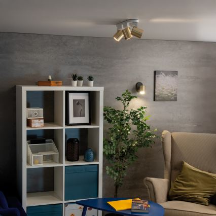 Faretto da parete LAURIN 1xGU10/10W/230V ottone/nero