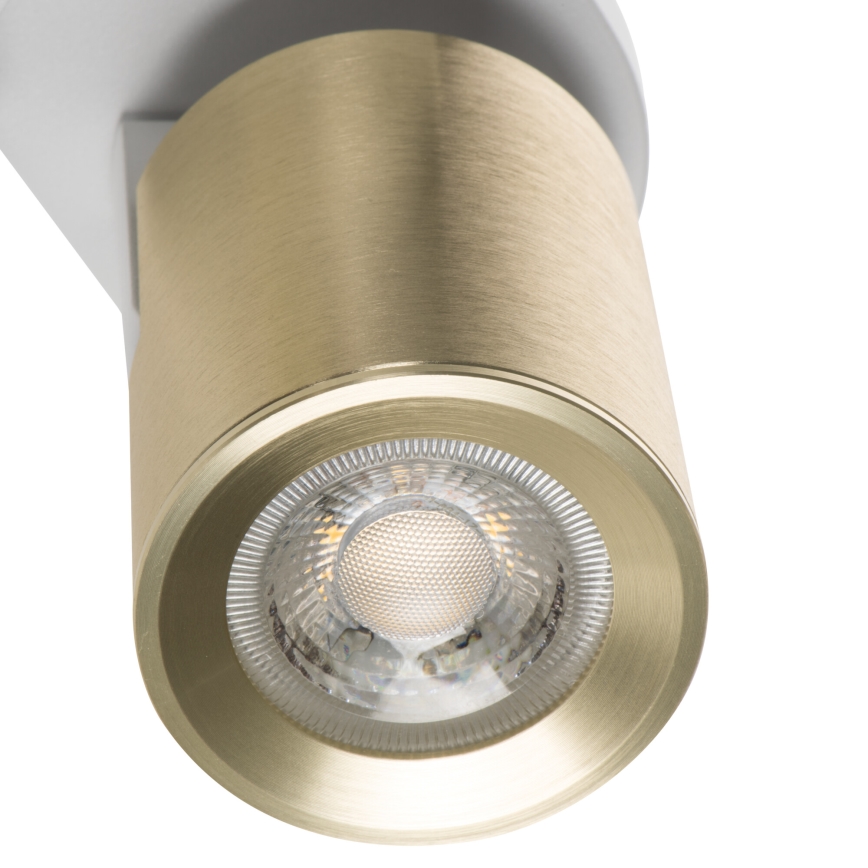 Faretto LAURIN 2xGU10/10W/230V ottone/bianco