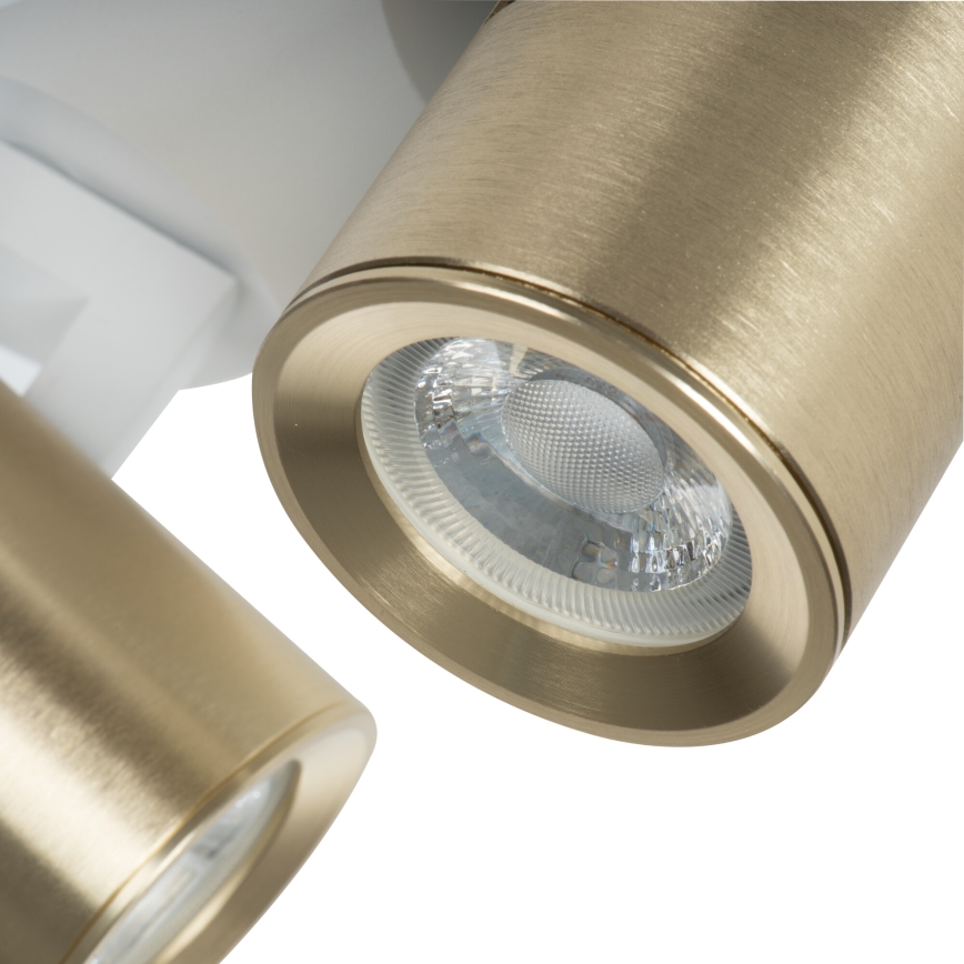 Faretto LAURIN 3xGU10/10W/230V ottone/bianco