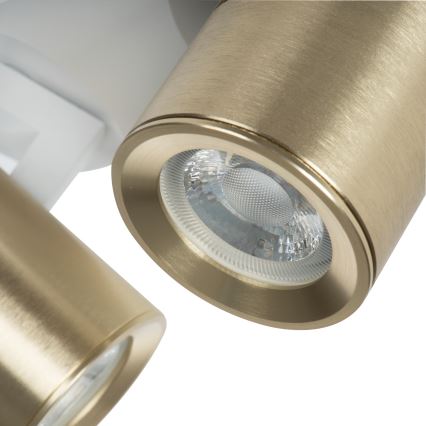Faretto LAURIN 3xGU10/10W/230V ottone/bianco