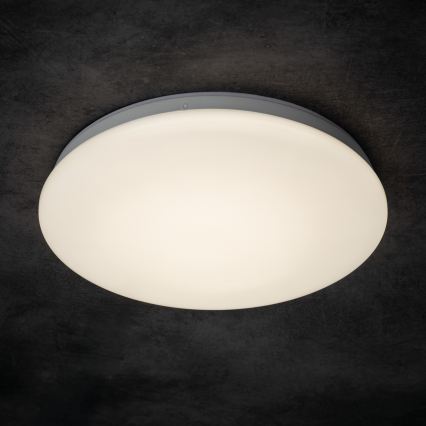 Plafoniera da soffitto per bagno ENELO LED/10W/230V Ø 24 cm IP44