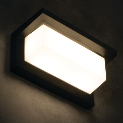 Applique da esterno LED LERTO LED/12W/230V IP54 nera