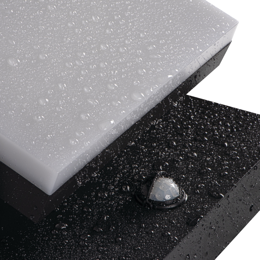 Applique LED da esterno con sensore di movimento e sensore crepuscolare XERTO LED/20W/230V 3000/4000/6500K IP44 nero