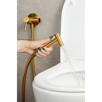 KFA Armatura 5039-512-31 - Rubinetto per bidet con doccia da incasso MOZA molato oro