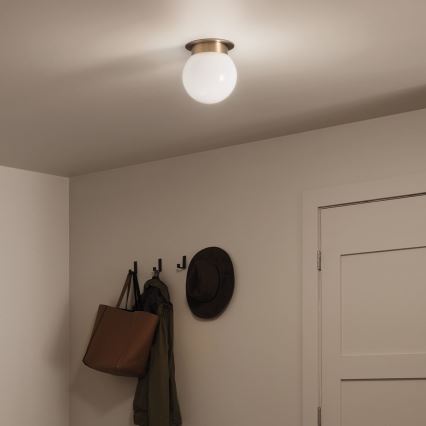 Kichler KL-ALBERS-F-G-CPZ-Plafoniera ALBERS 1xE27/40W/230V Ø20,3 cm oro