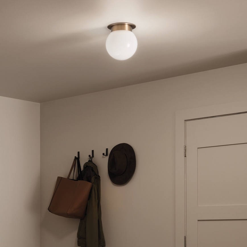 Kichler KL-ALBERS-F-G-CPZ-Plafoniera ALBERS 1xE27/40W/230V Ø20,3 cm oro