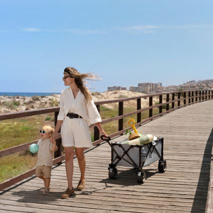 KINDERKRAFT - Carrello da trasporto pieghevole WAGON ROLLSTER grigio