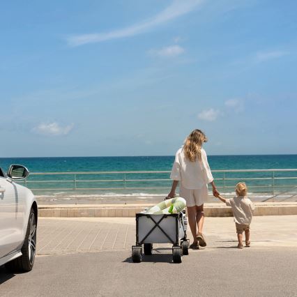 KINDERKRAFT - Carrello da trasporto pieghevole WAGON ROLLSTER grigio