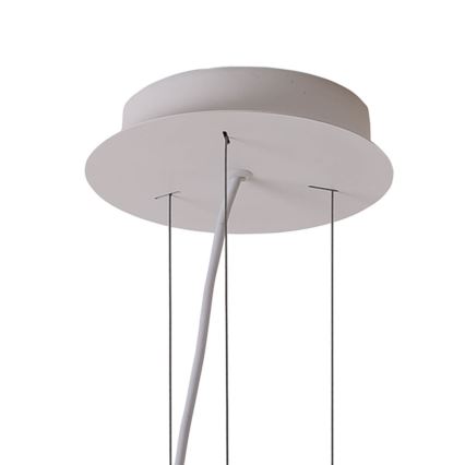 Lampadario a sospensione con filo PADDY LED/24W/230V bianco