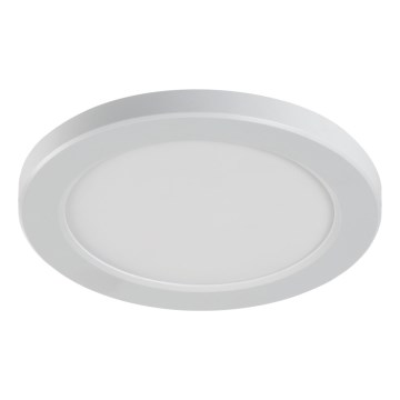 Lampada a LED da soffitto/per controsoffitto 2 in 1 ERGA LED/17W/230V 3000/4000/6500K bianco