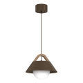 Lampada a sospensione con cavo FUNDA 1xE27/15W/230V, marrone