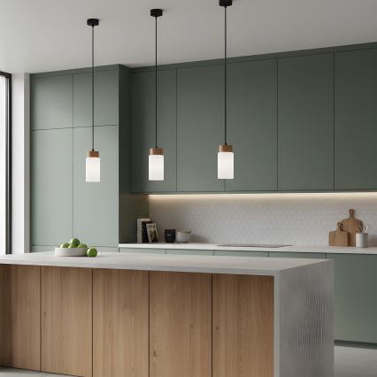 Lampada a sospensione con cavo MARKUS 1xE27/15W/230V nero/rovere