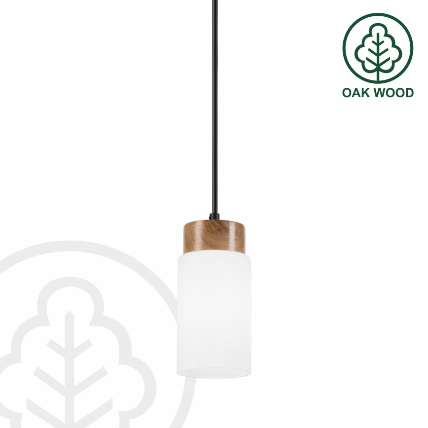 Lampada a sospensione con cavo MARKUS 1xE27/15W/230V nero/rovere