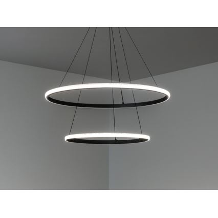 Lampadario LED dimmerabile a sospensione con cavo LED/55W/230V 3000-6500K Ø 60 cm + telecomando
