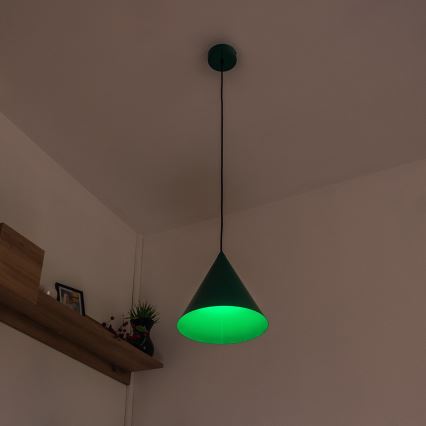 Lampada a sospensione ETNA con cavo 1xE27/15W/230V Ø 25 cm verde