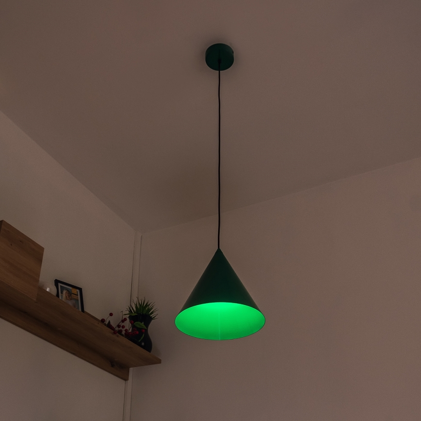 Lampada a sospensione ETNA con cavo 1xE27/15W/230V Ø 25 cm verde