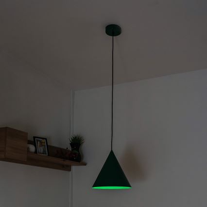Lampada a sospensione ETNA con cavo 1xE27/15W/230V Ø 25 cm verde
