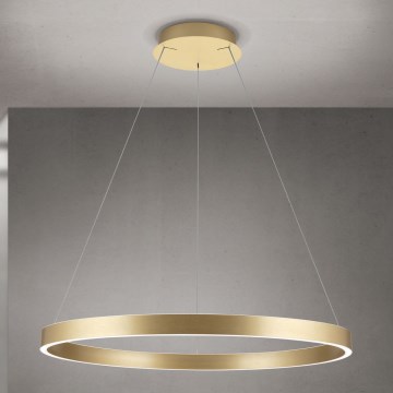 Lampada a sospensione LED dimmerabile a cavo KOLK LED/80W/230V 2700/3000/4000K diam. 80 cm oro
