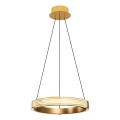 Lampada a sospensione LED su cavo JESI LED/22W/230V 3000K Ø 40 cm oro