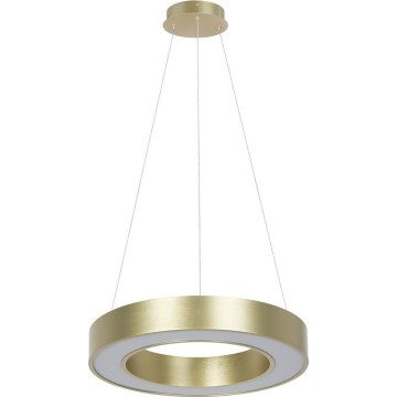 Lampada a sospensione LED su cavo UNION LED/40W/230V 3000/4000/6500K Ø 40 cm dorata