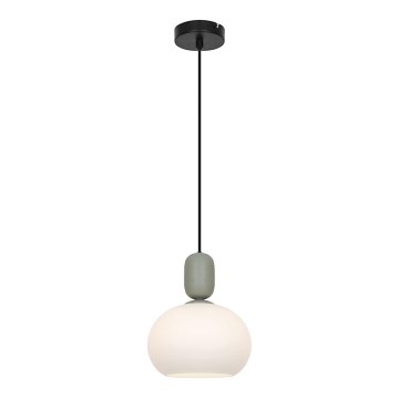Lampada a sospensione su cavo VALISIA 1xE27/40W/230V nero/oliva