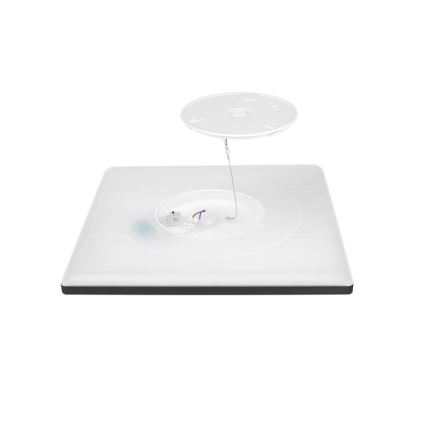 LED Luce da bagno con sensore di movimento e crepuscolo NIVERA LED/12W/230V IP54 3000/4000/6000K 22,5x22,5 cm nero + telecomando