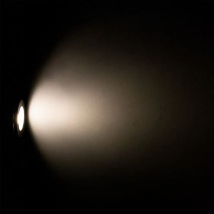 Lampada da esterno FLORI 1xGU10/6W/230V IP65