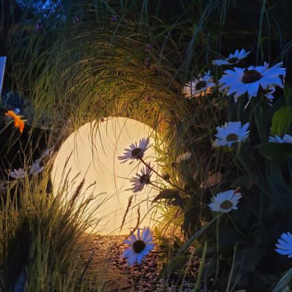 LED RGBW dimmerabile lampada da esterno GLOBO 1xE27/9W/230V 2700-6500K diam. 40 cm IP44 Wi-Fi