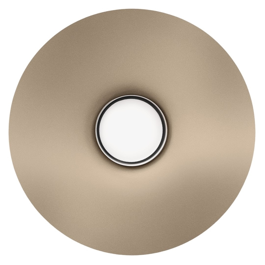 Lampada da parete CAPITAL 1xGX53/15W/230V beige