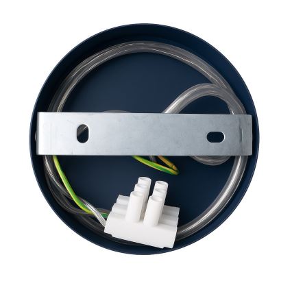 Lampada da parete CAPITAL 1xGX53/15W/230V blu