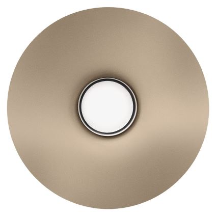 Lampada da parete CAPITAL 1xGX53/15W/230V tortora