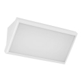 Lampada da parete LED da esterno LED/20W/230V 4000K IP65 bianco