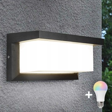 Lampada da parete LED RGBW dimmerabile per esterni NEELY 1xE27/9W/230V 2700-6500K IP54 Wi-Fi antracite