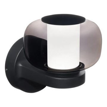 Lampada da parete per esterni LED MALAGA LED/12W/230V IP44 nera