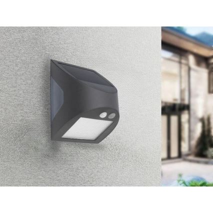 Lampada da parete solare a LED con sensore LED/3W/3,7V 3000/4000K 1200 mAh IP54 antracite