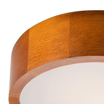 Lampada da soffitto 1xE27/60W/230V pino