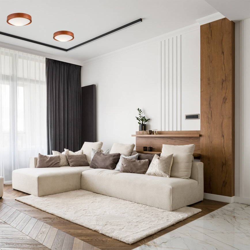 Lampada da soffitto 1xE27/60W/230V pino