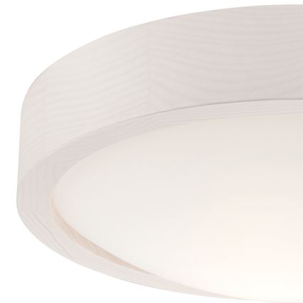Lampada da soffitto 1xE27/60W/230V pino