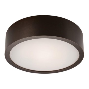 Lampada da soffitto 1xE27/60W/230V pino