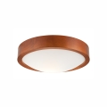 Lampada da soffitto 1xE27/60W/230V pino