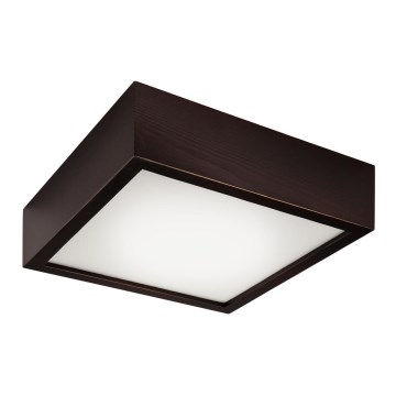 Lampada da soffitto 1xE27/60W/230V pino