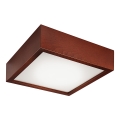 Lampada da soffitto 2xE27/60W/230V pino