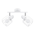 Lampada da soffitto BELUCI 2xE14/40W/230V bianco