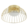 Lampada da soffitto LED BETSY LED/12W/230V Ø 25 cm dorata
