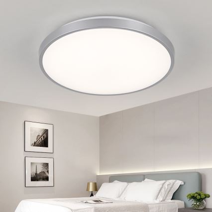 Nedes LC801A/SI - Lampada da soffitto LED LC8 LED/50W/230V + GRATIS Lampada fluorescente LED LED/36W