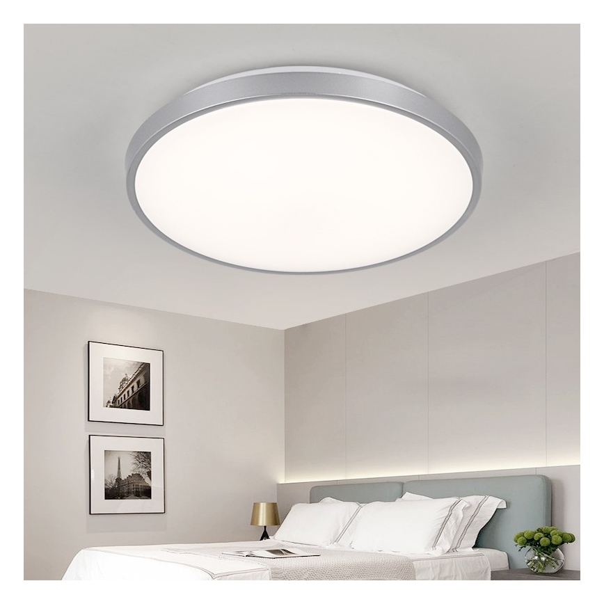 Nedes LC801A/SI - Lampada da soffitto LED LC8 LED/50W/230V + GRATIS Lampada fluorescente LED LED/36W